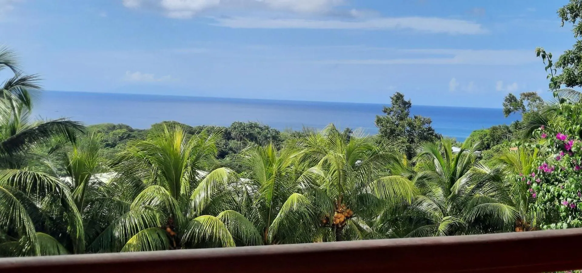 Oasis De Grande Anse Villa Deshaies
