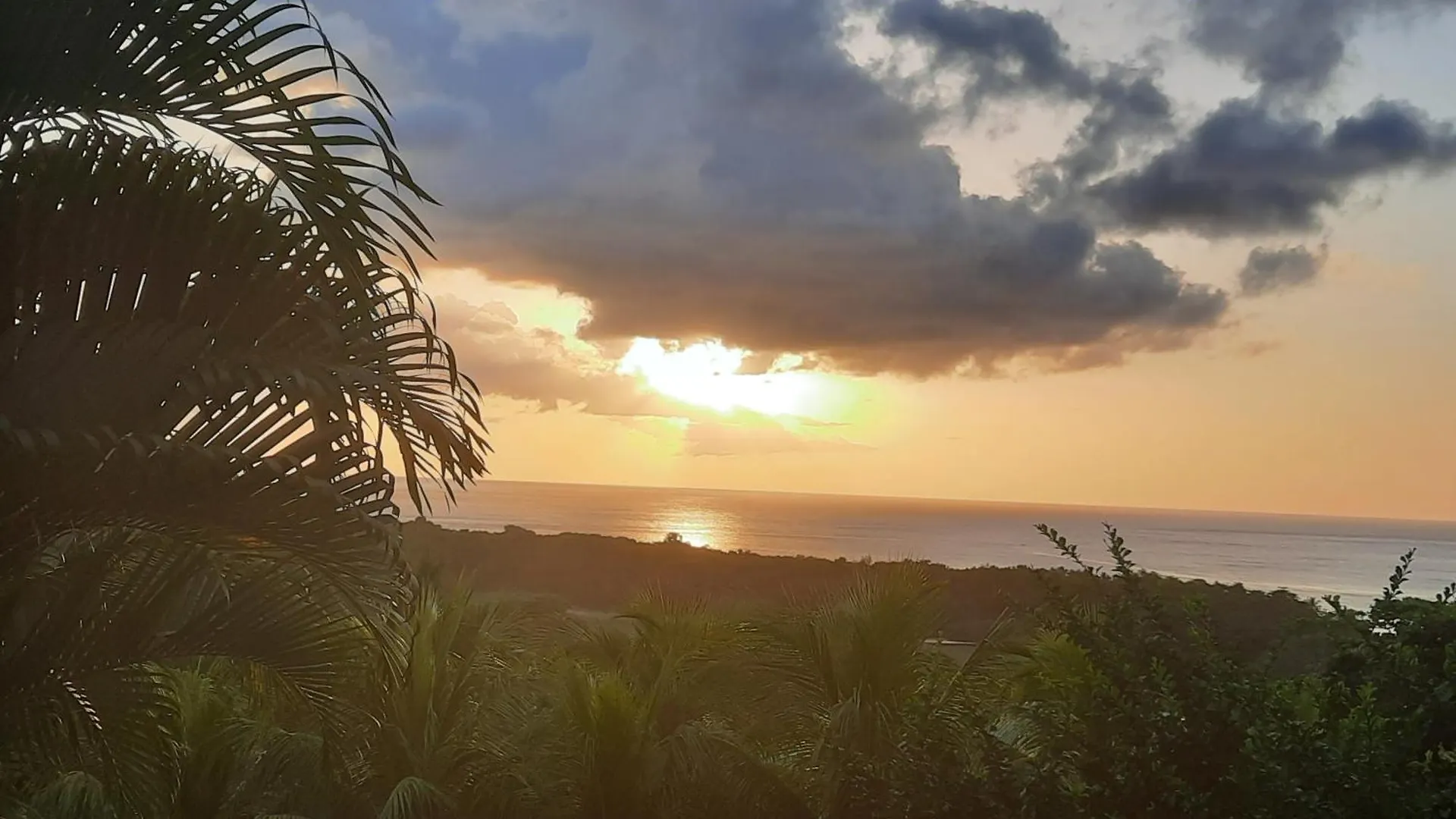 Oasis De Grande Anse Villa Deshaies