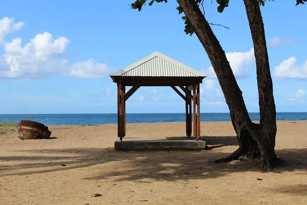 Oasis De Grande Anse Villa Deshaies