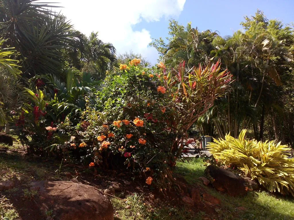 Oasis De Grande Anse Villa Deshaies Guadeloupe