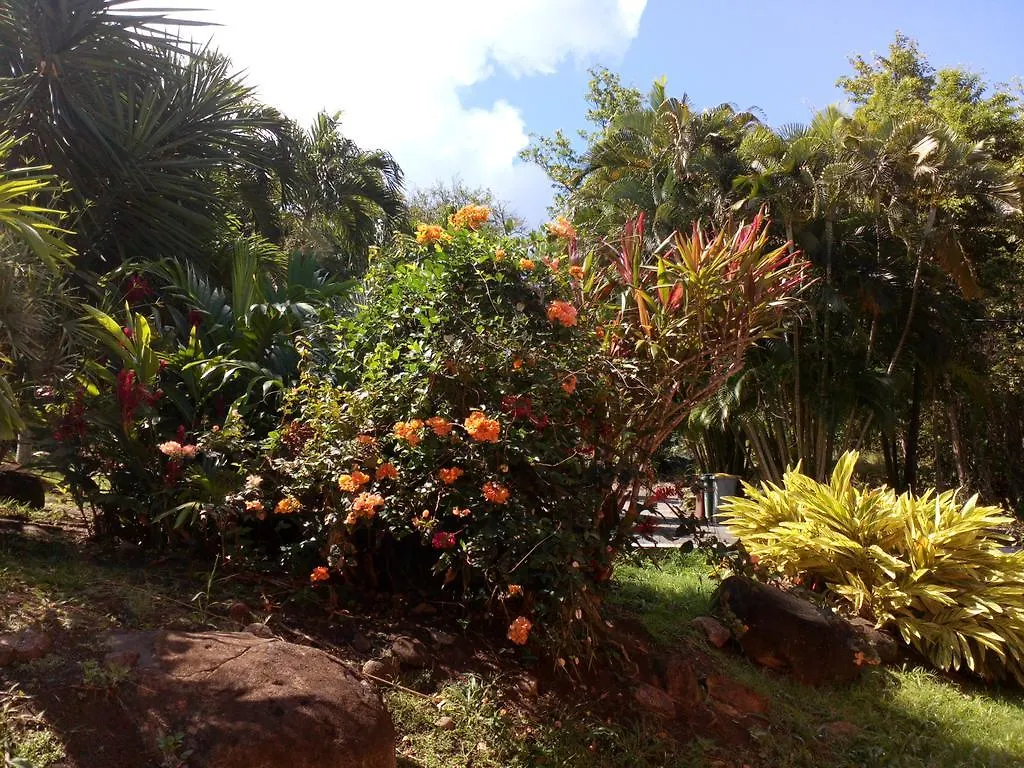 Oasis De Grande Anse Villa Deshaies