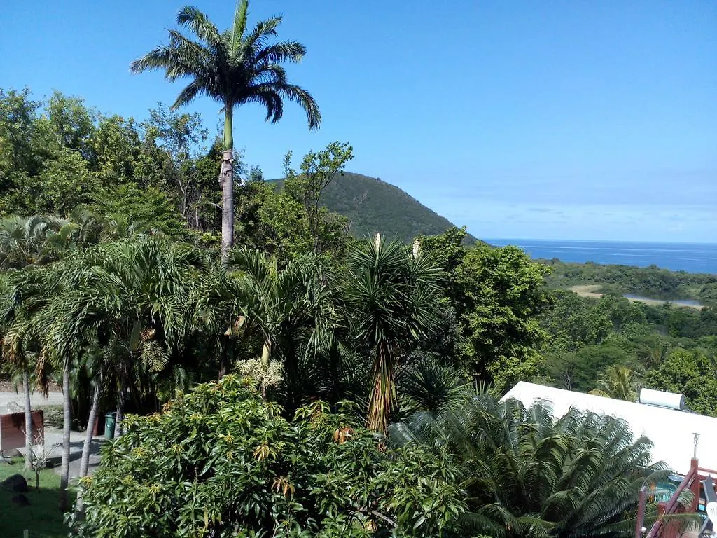 Oasis De Grande Anse Villa Deshaies 0*,