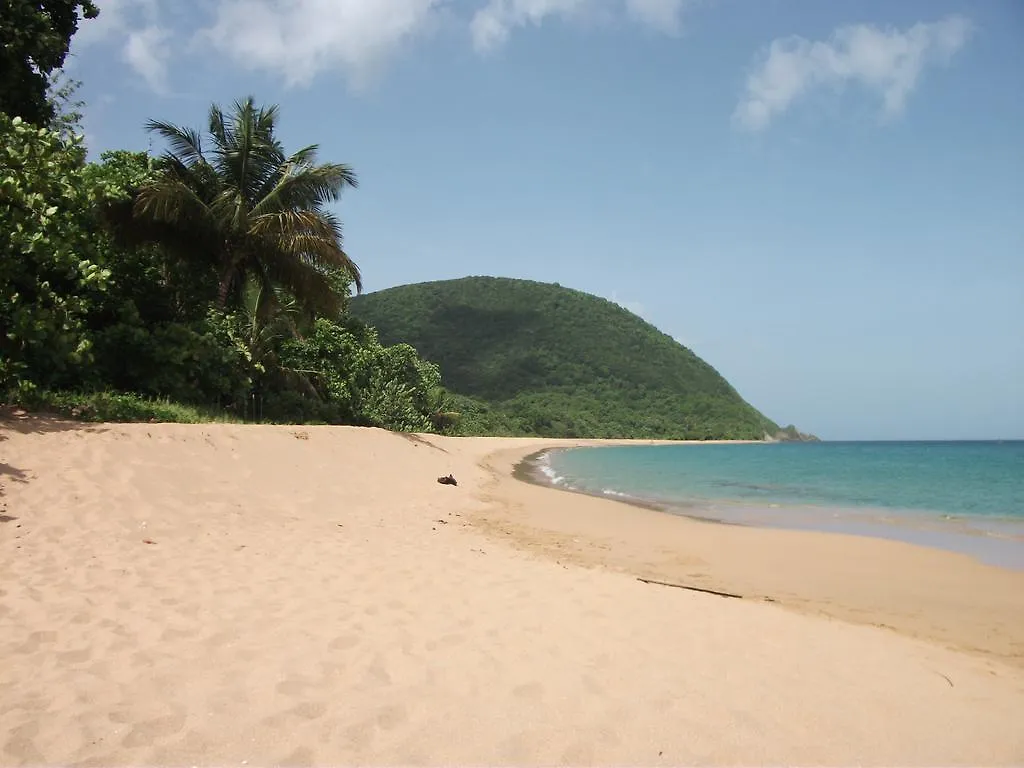 Oasis De Grande Anse Villa Deshaies