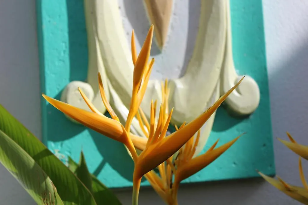 Oasis De Grande Anse Villa Deshaies